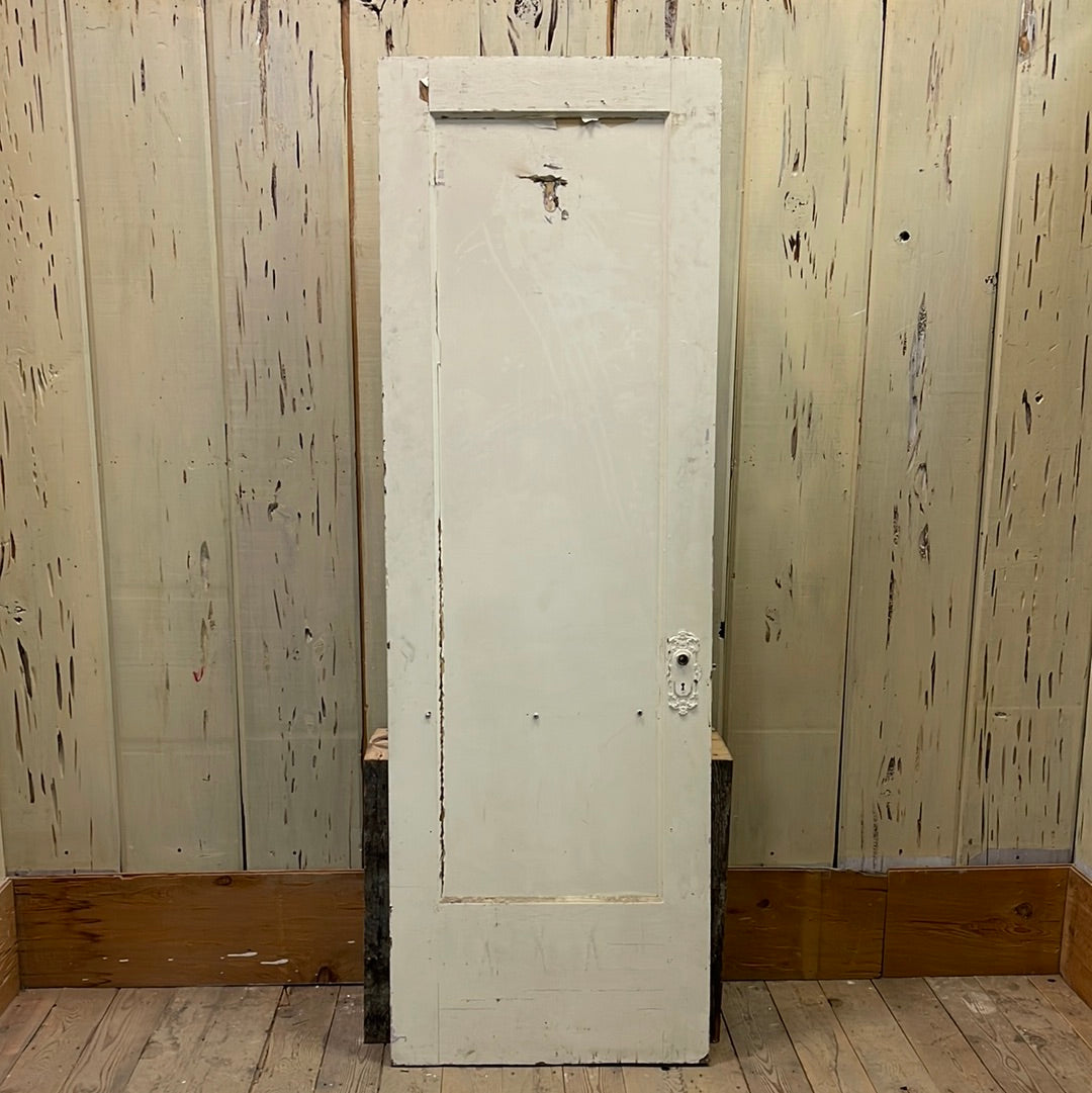 1 Panel Interior Door