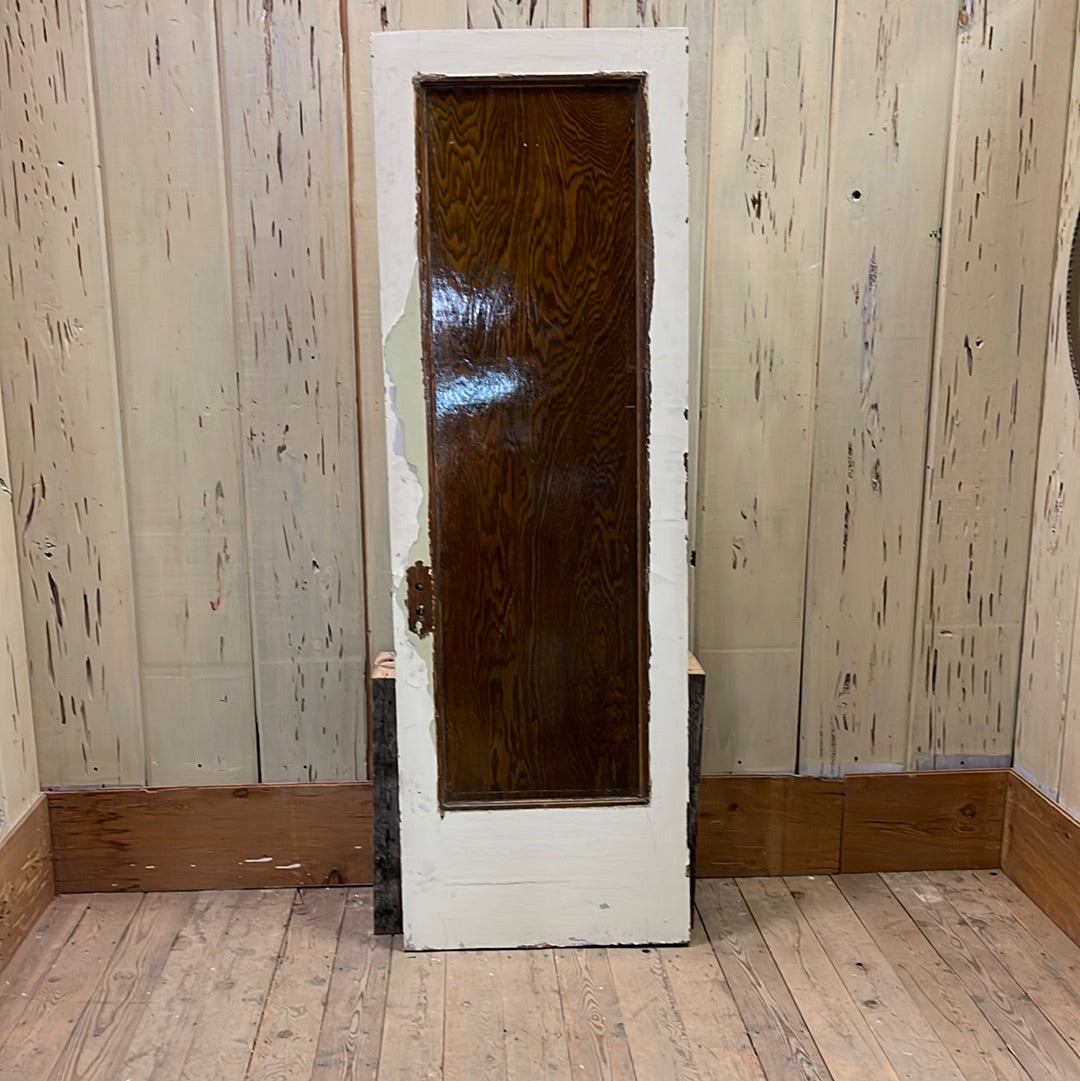 1 Panel Interior Door