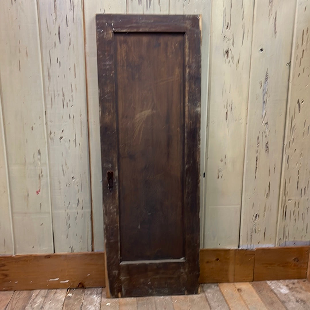 1 Panel Interior Door