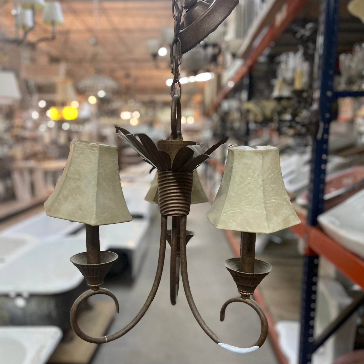 3 Shaded Bulb Chandelier