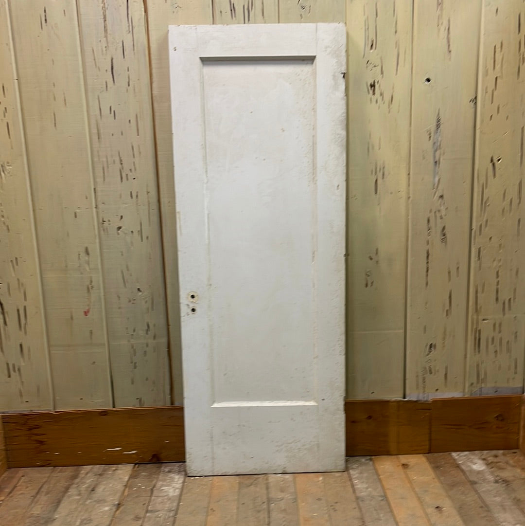 1 Panel Interior Door