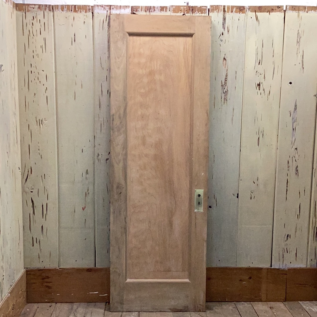 1 Panel Interior Door W/ Mirror