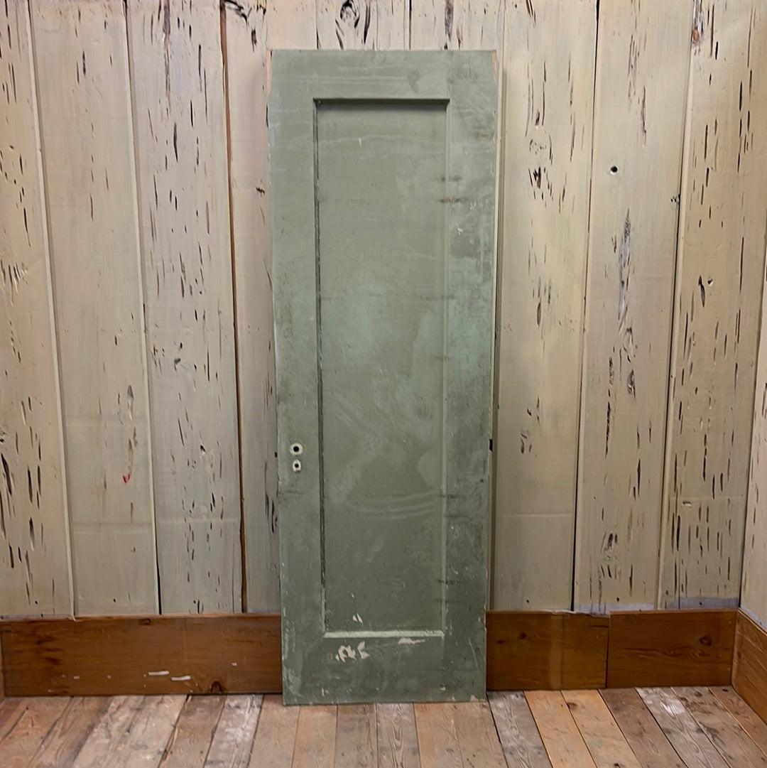 1 Panel Interior Door