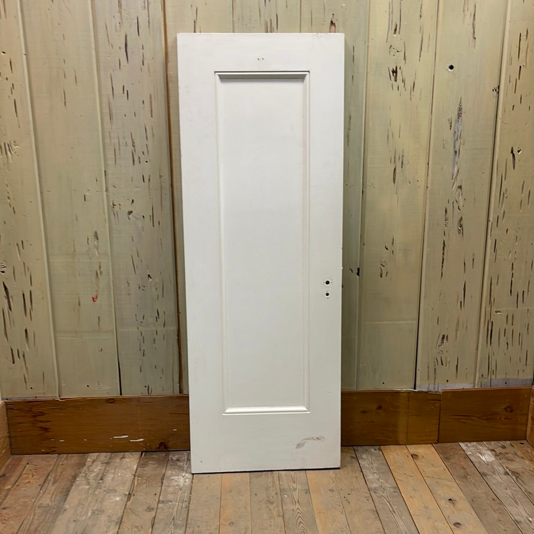 1 Panel Interior Door