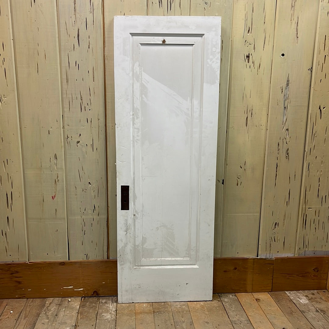 1 Panel Interior Door