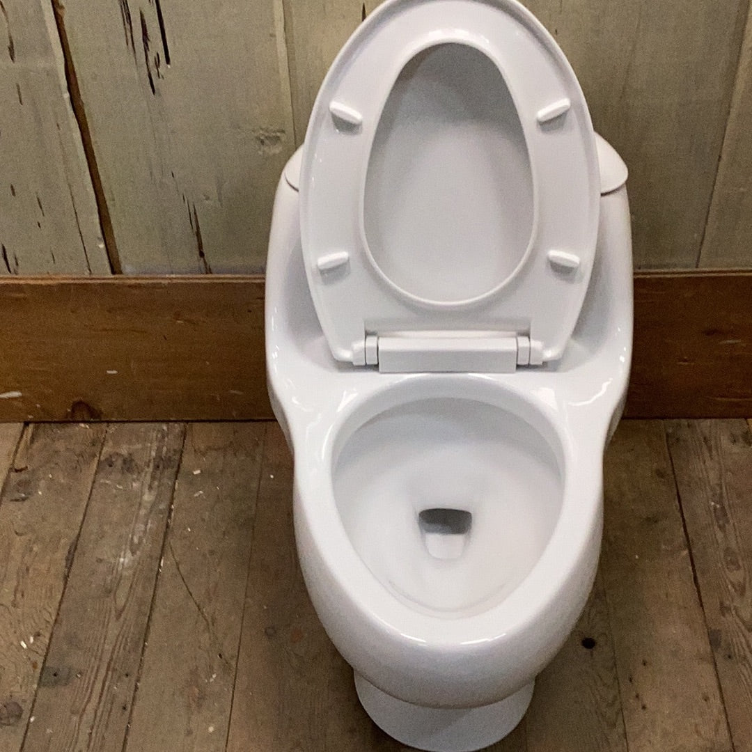 One-Piece Toilet