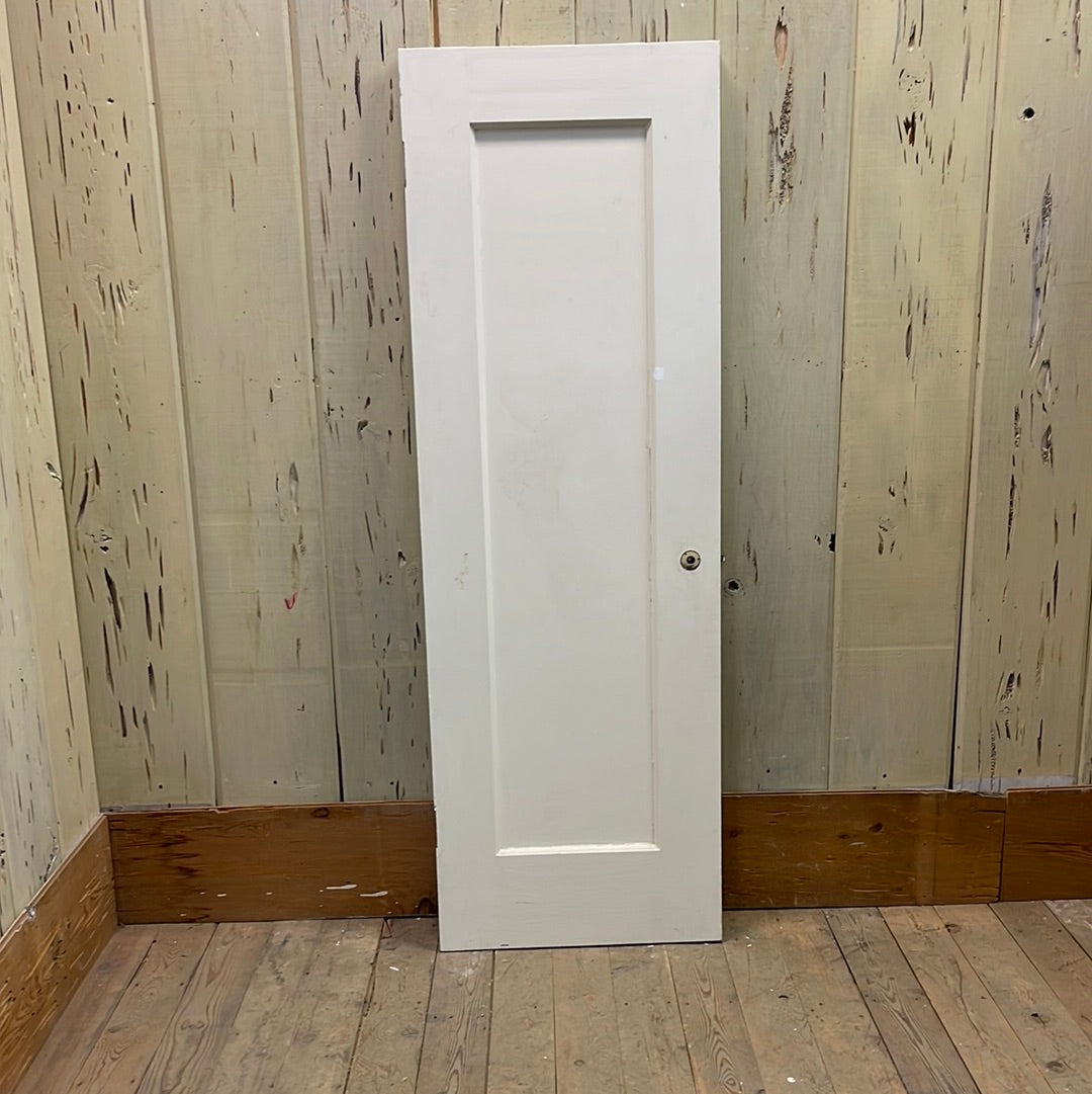 1 Panel Interior Door