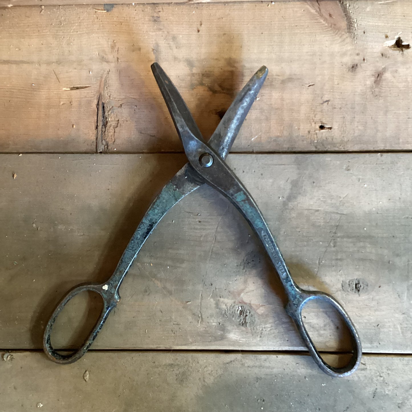 Tin Snips