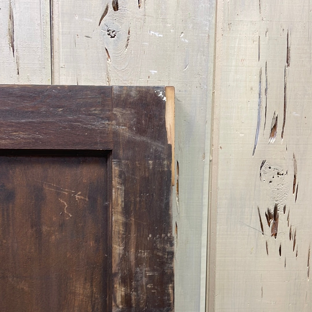 1 Panel Interior Door