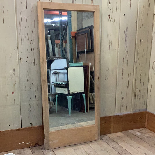 Mirrored Cabinet Door