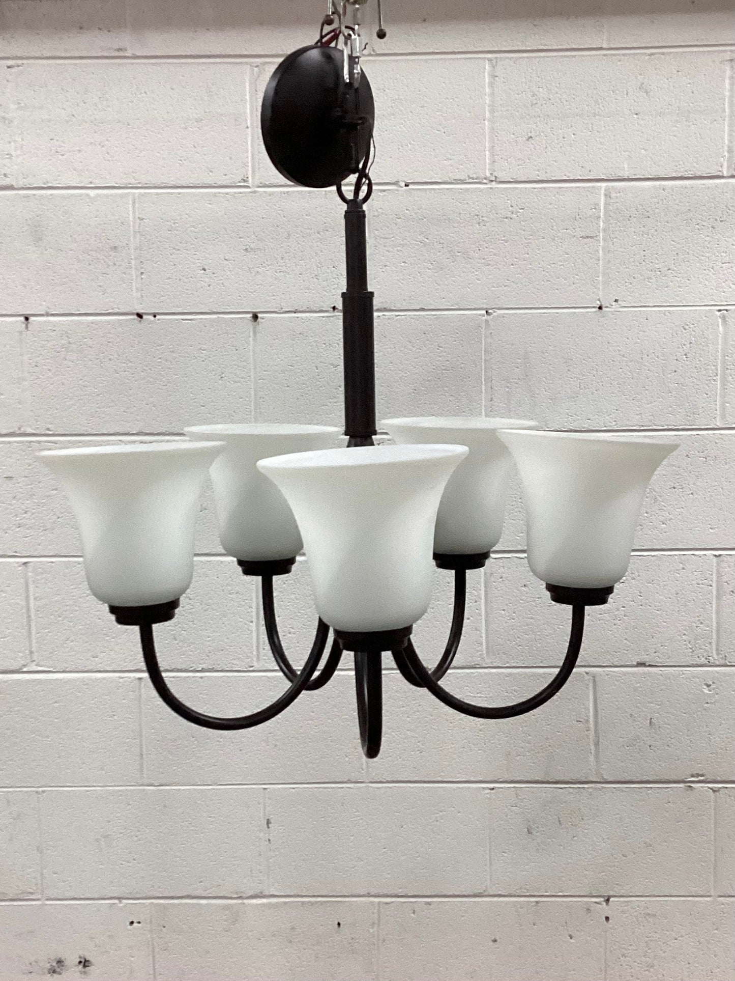Five Bulb Glass Shaded Chandelier