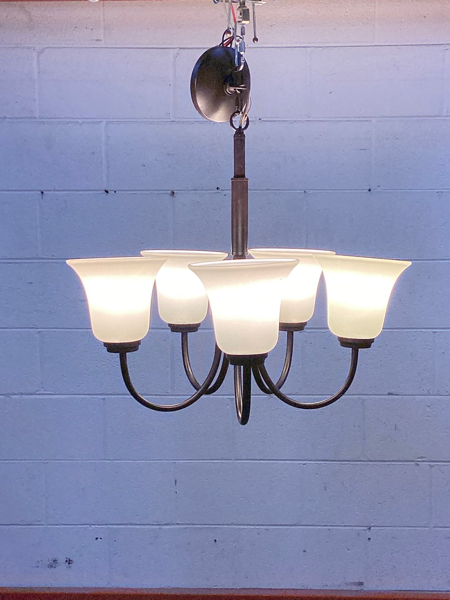 Five Bulb Glass Shaded Chandelier