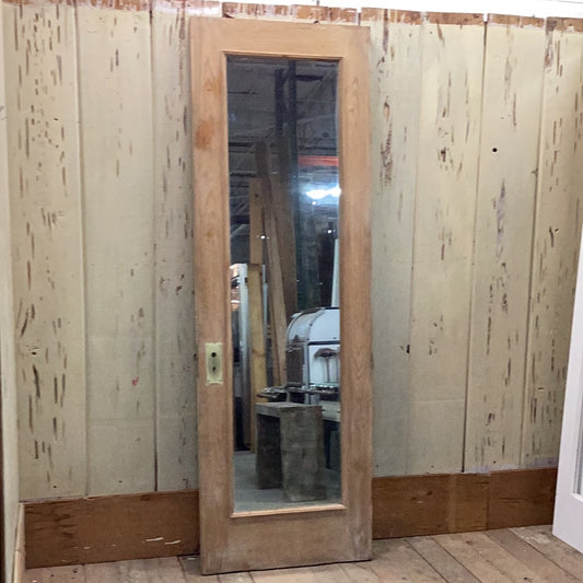 1 Panel Interior Door W/ Mirror