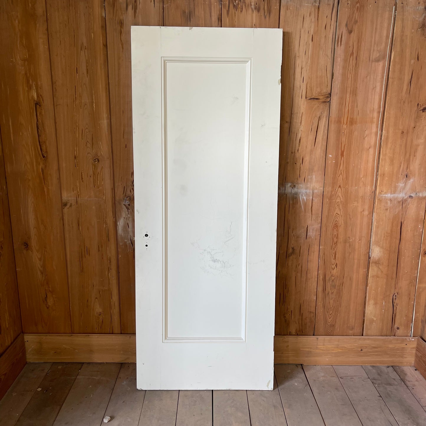 1 Panel Interior Door
