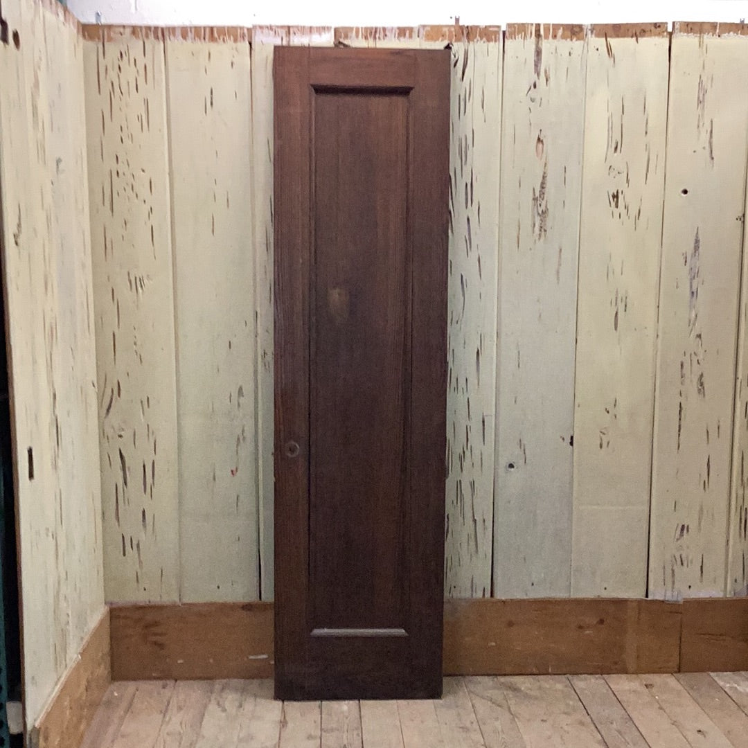 1 Panel Interior Door