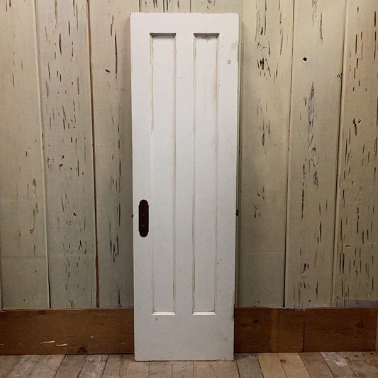 Two Vertical Panel Interior Door