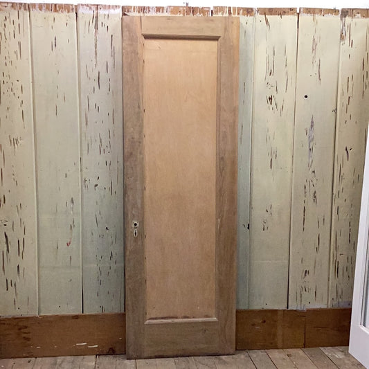 Single Panel Interior Door