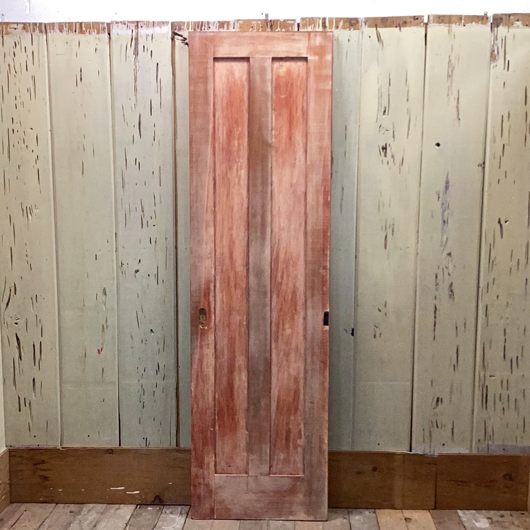 2 Panel Pocket Door