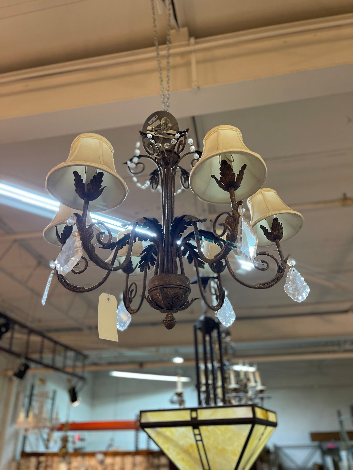 6 Arm Chandelier with Shades