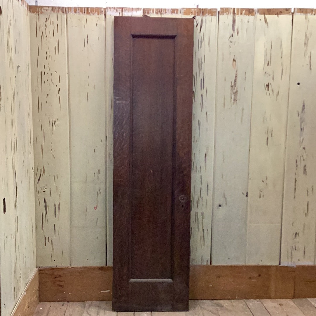 1 Panel Interior Door