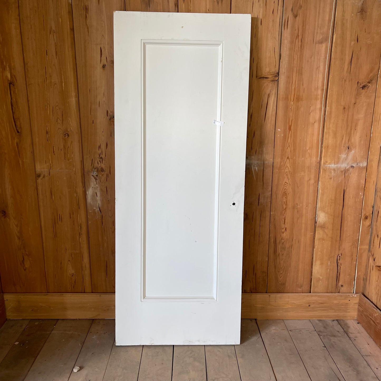 1 Panel Interior Door