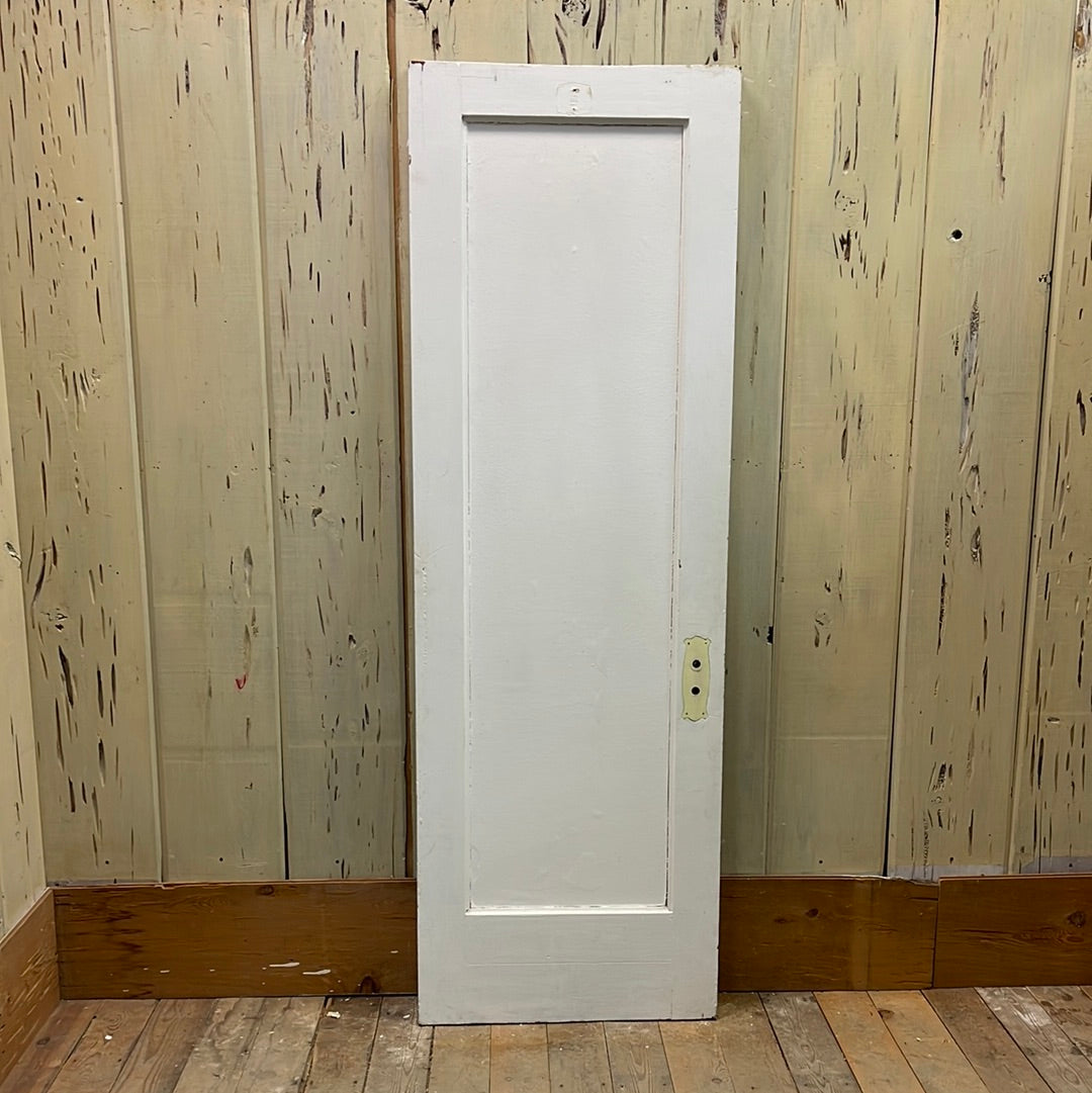 1 Panel Interior Door