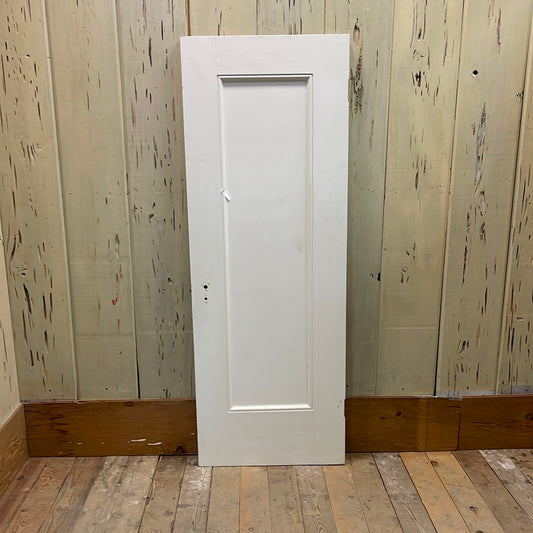 1 Panel Interior Door