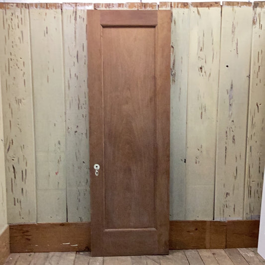 1 Panel Interior Door