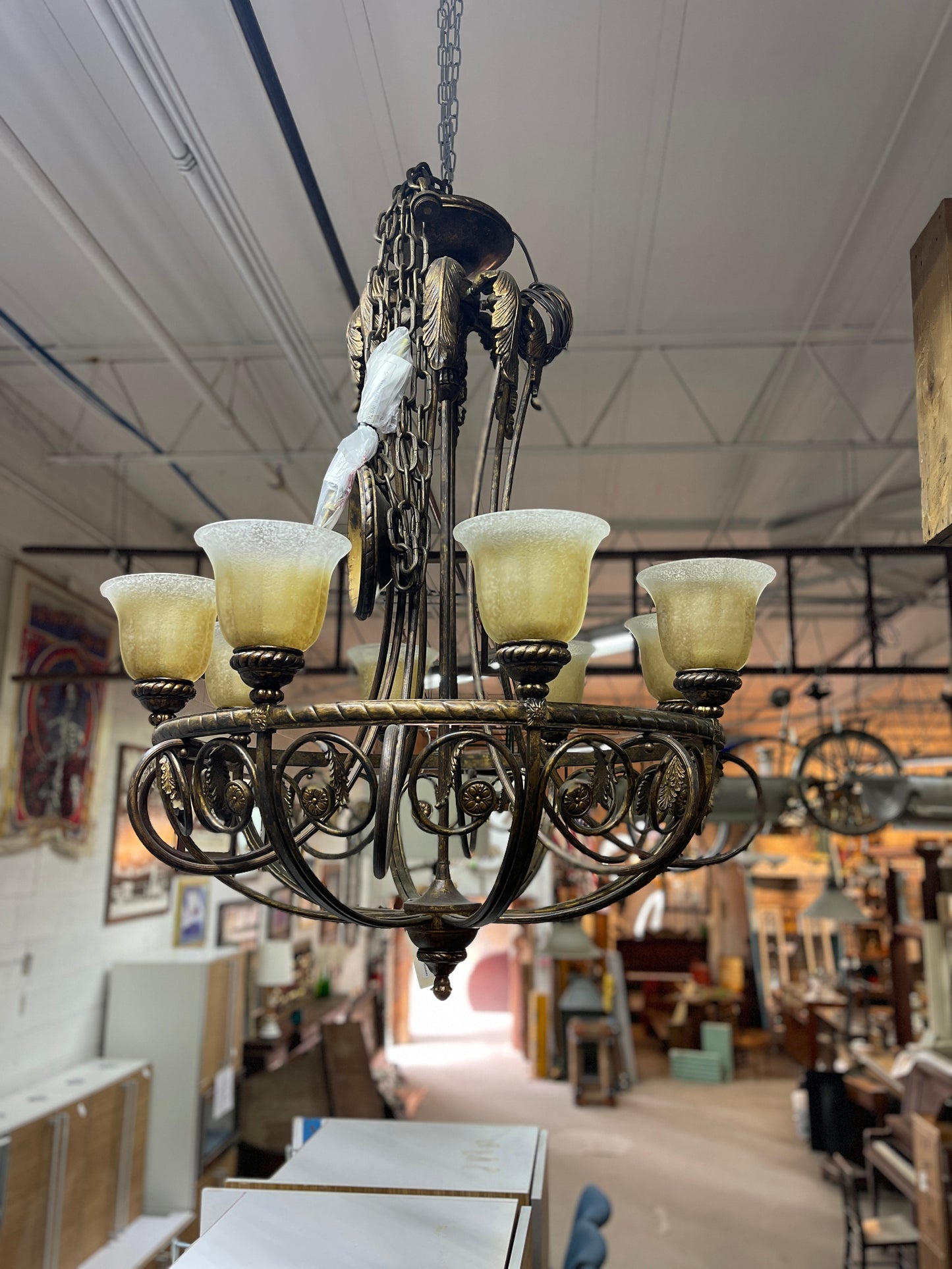 8 Bulb Decorative Chandelier