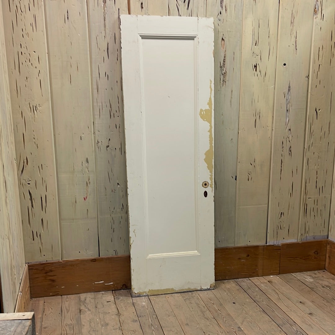 1 Panel Interior Door