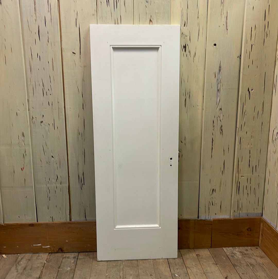 1 Panel Interior Door