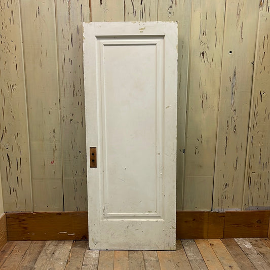 1 Panel Interior Door