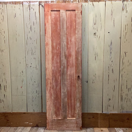 2 Panel Pocket Door