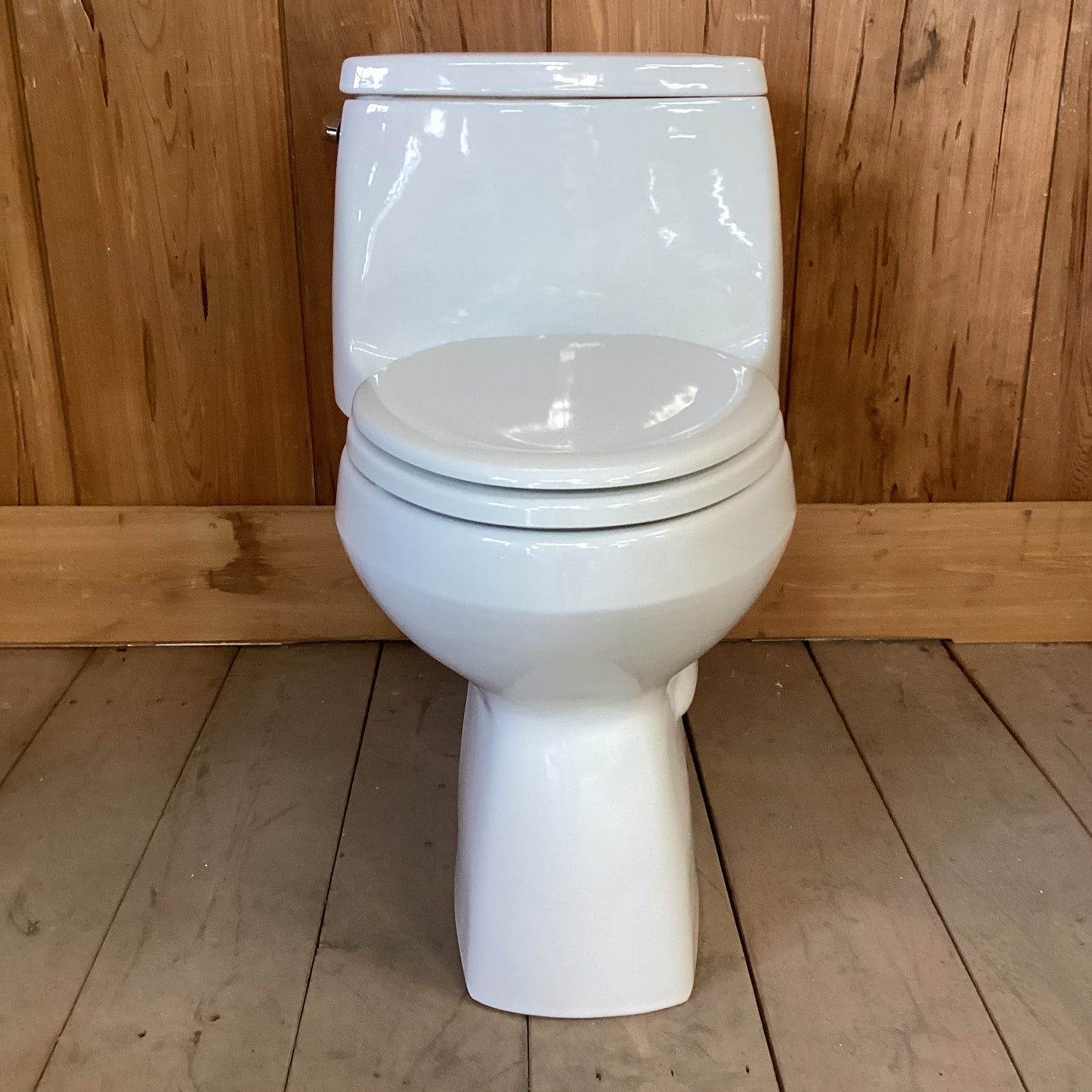 Kohler One Piece Toilet