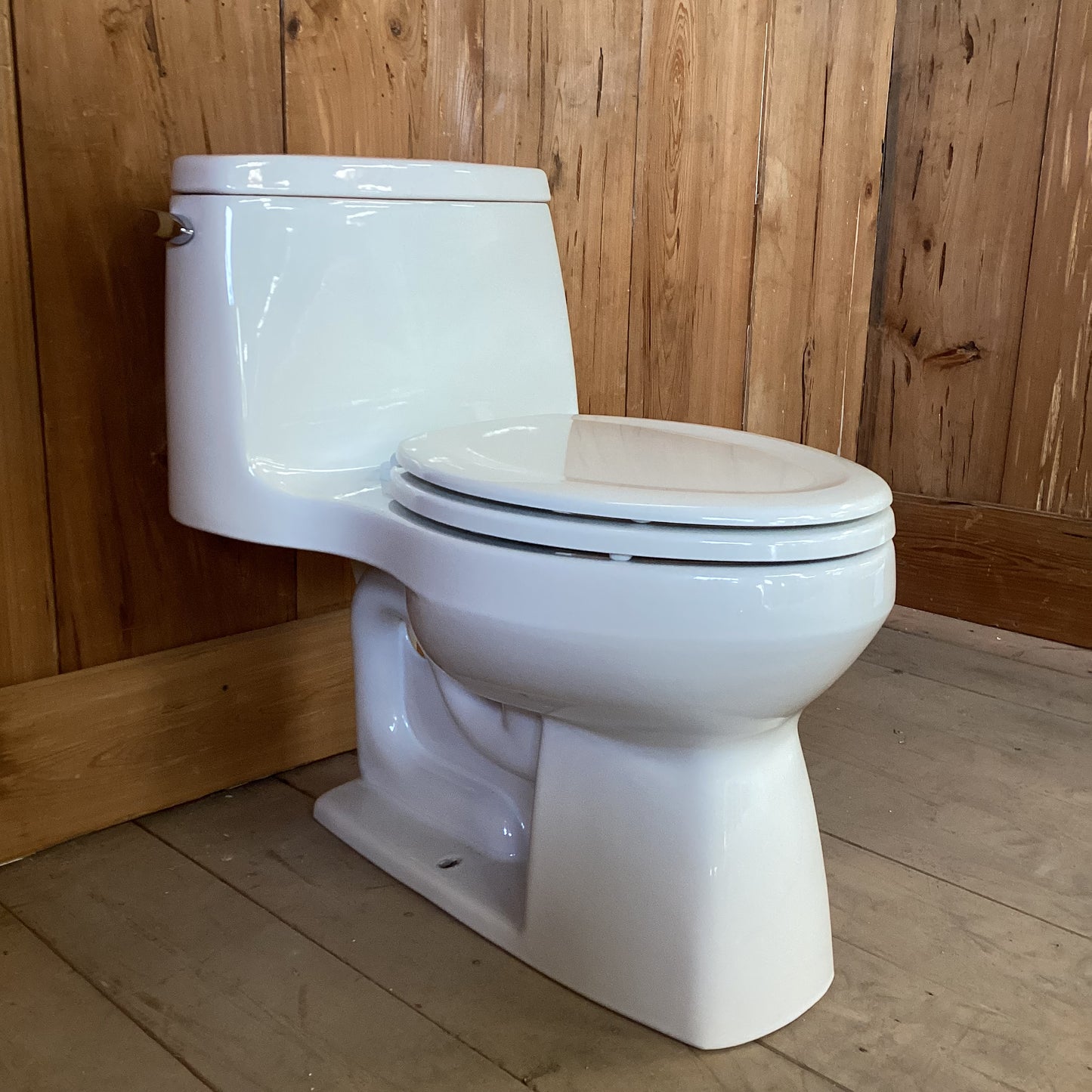 Kohler One Piece Toilet